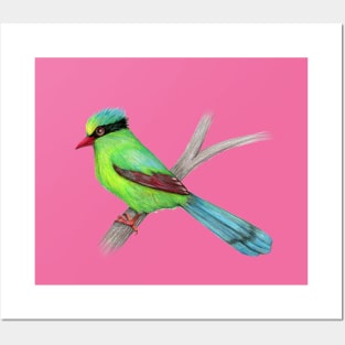 Green magpie pencil drawing Posters and Art